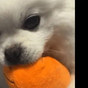 1004ysus OnlyFans Leaked Free Thumbnail Picture - #znnGzkaeT8