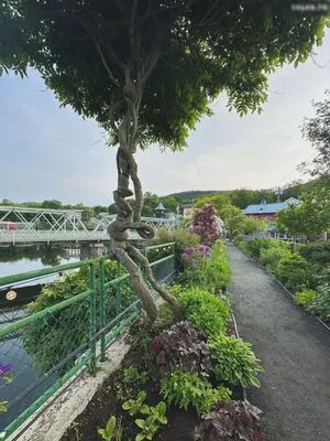 1279 OnlyFans Leaked Free Thumbnail Picture - #45U73hEgcb