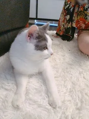 1279 OnlyFans Leaked Free Thumbnail Picture - #4wI6Z2xD9P