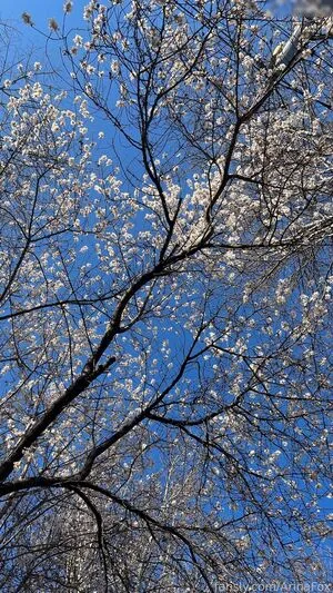 1279 OnlyFans Leaked Free Thumbnail Picture - #HIz6f30U2Y