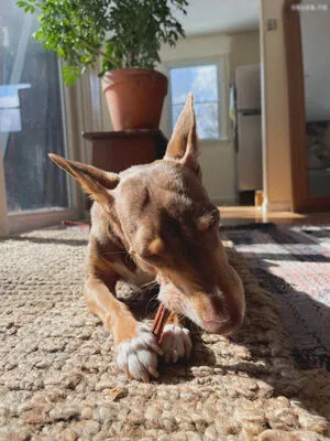 1279 OnlyFans Leaked Free Thumbnail Picture - #RHMPsaBM9a