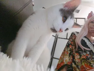 1279 OnlyFans Leaked Free Thumbnail Picture - #Ufh5IzcTnd