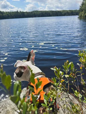 1279 OnlyFans Leaked Free Thumbnail Picture - #zhXSvcrOIv