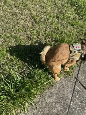 1braince11s OnlyFans Leaked Free Thumbnail Picture - #u7m7cMRtR7