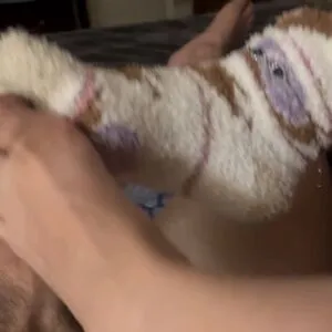 1itt1ef00t OnlyFans Leaked Free Thumbnail Picture - #jsmpnk4EnG