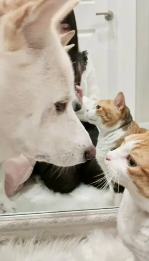 3dmoe OnlyFans Leaked Free Thumbnail Picture - #CKhKq4cbhY