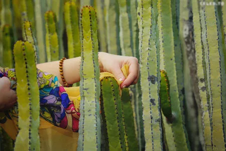  OnlyFans Leaked Free Thumbnail Picture - #VE34gjwasK