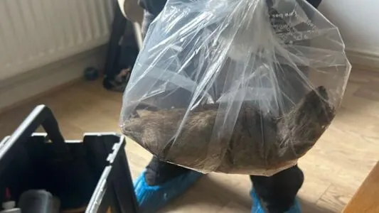 509baeby OnlyFans Leaked Free Thumbnail Picture - #xHdYBpSw3V