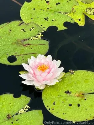 66alyssa66 OnlyFans Leaked Free Thumbnail Picture - #Rq7uwDASCh