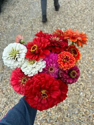 66alyssa66 OnlyFans Leaked Free Thumbnail Picture - #zdNap9v21W