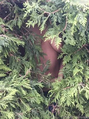 69wildhonig Vjayjay OnlyFans Leaked Free Thumbnail Picture - #D7qEsDK5V6