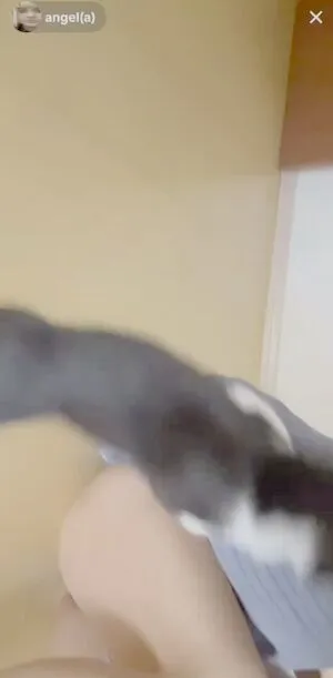 Aangelarrochista OnlyFans Leaked Free Thumbnail Picture - #CKGmlUadTc