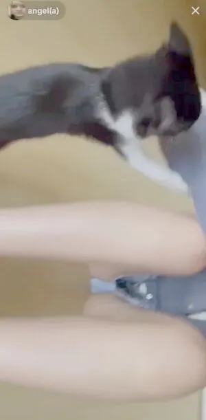 Aangelarrochista OnlyFans Leaked Free Thumbnail Picture - #E3KANoo4wg