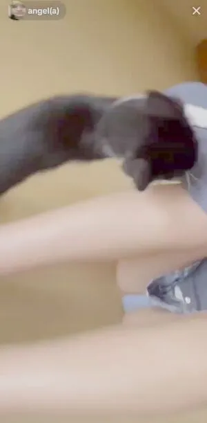 Aangelarrochista OnlyFans Leaked Free Thumbnail Picture - #zjvhCuTpJw