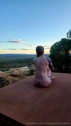 Ababypineconefree OnlyFans Leaked Free Thumbnail Picture - #2aAURDAue7