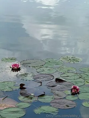 Abby Chase OnlyFans Leaked Free Thumbnail Picture - #N5sT4uicrh