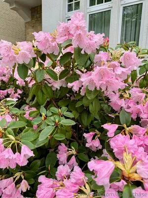 Abby Chase OnlyFans Leaked Free Thumbnail Picture - #TiZqK80vcT