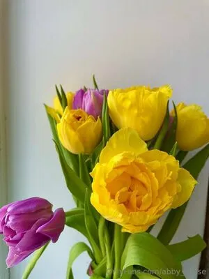 Abby Chase OnlyFans Leaked Free Thumbnail Picture - #b0031REBlf