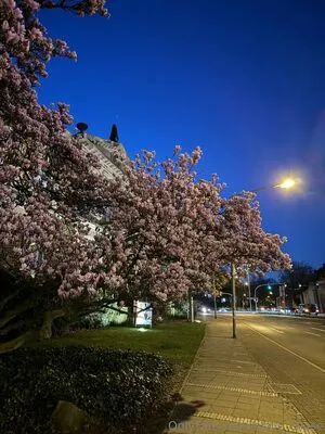 Abby Chase OnlyFans Leaked Free Thumbnail Picture - #dPlD4GGgfg