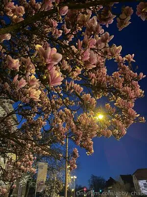 Abby Chase OnlyFans Leaked Free Thumbnail Picture - #e6rhEpp181