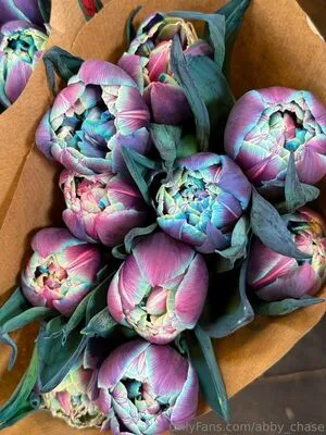 Abby Chase OnlyFans Leaked Free Thumbnail Picture - #gSD1QvxslT