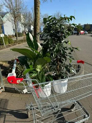 Abby Chase OnlyFans Leaked Free Thumbnail Picture - #xMJaJwNXJf