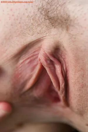 Abbywinters OnlyFans Leaked Free Thumbnail Picture - #SI7zA0WWS0