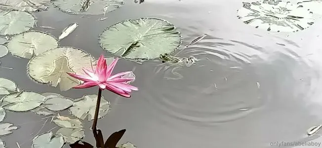 Abeliaboy OnlyFans Leaked Free Thumbnail Picture - #hcR5csTcHJ