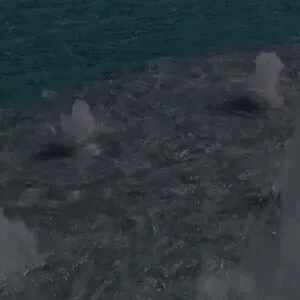 Abella Danger OnlyFans Leaked Free Thumbnail Picture - #dFn0WQpv70