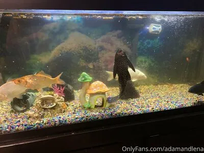 Adamandlena OnlyFans Leaked Free Thumbnail Picture - #LPqUcGzkVt