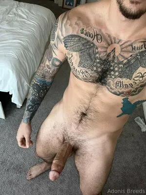 Adonisbreeds OnlyFans Leaked Free Thumbnail Picture - #MMe9L2N46t