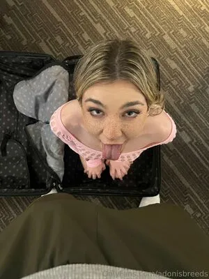 Adonisbreeds OnlyFans Leaked Free Thumbnail Picture - #ZgVemOY40g