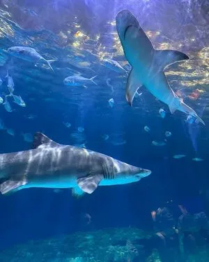 Adrianna OnlyFans Leaked Free Thumbnail Picture - #FxdYhE5FLk