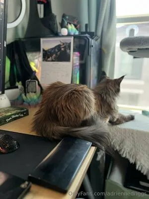 Adriennedriggs OnlyFans Leaked Free Thumbnail Picture - #N1Dt61wWUq