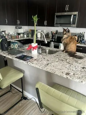 Adriennedriggs OnlyFans Leaked Free Thumbnail Picture - #eG7C5pDIRx