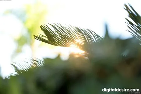 Adultprime OnlyFans Leaked Free Thumbnail Picture - #Ag9hs3iyRP