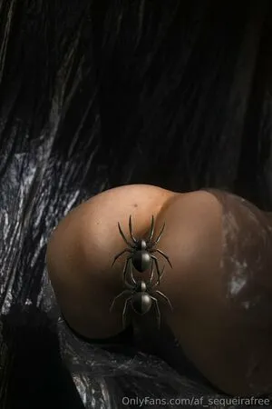 Af Sequeirafree OnlyFans Leaked Free Thumbnail Picture - #KMDtLIboa0