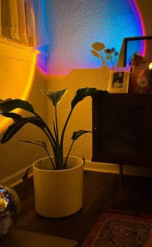 Agirlnamedlola OnlyFans Leaked Free Thumbnail Picture - #3byloyBYaK