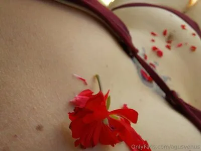Agusvenus OnlyFans Leaked Free Thumbnail Picture - #fr9oLJn0wr