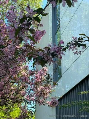 Aisultanax OnlyFans Leaked Free Thumbnail Picture - #hSYTSyL0LO