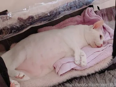 Akari OnlyFans Leaked Free Thumbnail Picture - #wDCGfyqSEA