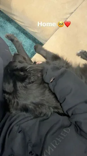 Alanah Pearce OnlyFans Leaked Free Thumbnail Picture - #RtlzJT6DTL