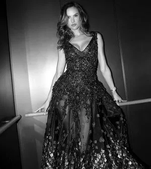 Alessandra Ambrosio OnlyFans Leaked Free Thumbnail Picture - #DuwRCewS2m