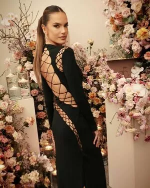 Alessandra Ambrosio OnlyFans Leaked Free Thumbnail Picture - #Ky0lF0gED8