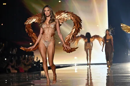 Alessandra Ambrosio OnlyFans Leaked Free Thumbnail Picture - #SEUl7LqDp8