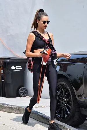 Alessandra Ambrosio OnlyFans Leaked Free Thumbnail Picture - #SHIigFZ1zZ