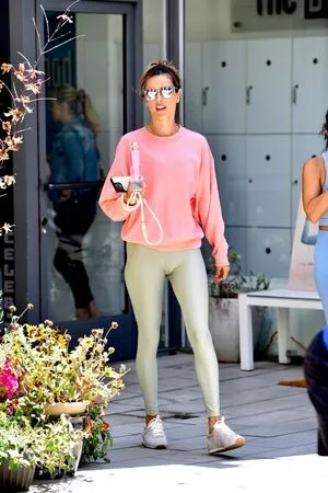 Alessandra Ambrosio OnlyFans Leaked Free Thumbnail Picture - #SoHNetjuml