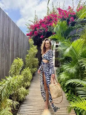 Alessandra Ambrosio OnlyFans Leaked Free Thumbnail Picture - #batBs0ejNM