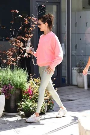 Alessandra Ambrosio OnlyFans Leaked Free Thumbnail Picture - #hKNyomemMC