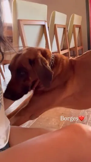 Alessandra Negrini OnlyFans Leaked Free Thumbnail Picture - #7W2iNA8e5R